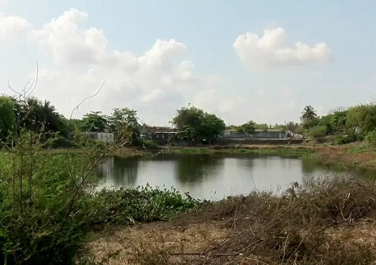 Laguna Coyol