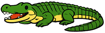 Crocodile