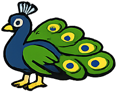 Peacock