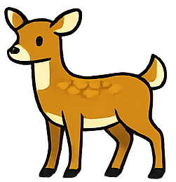 Female Deer